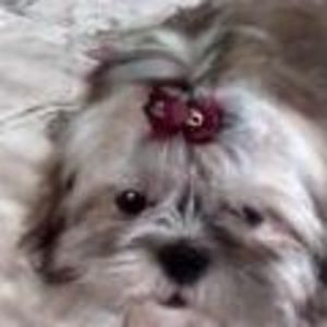 Meet your Posher, Karen